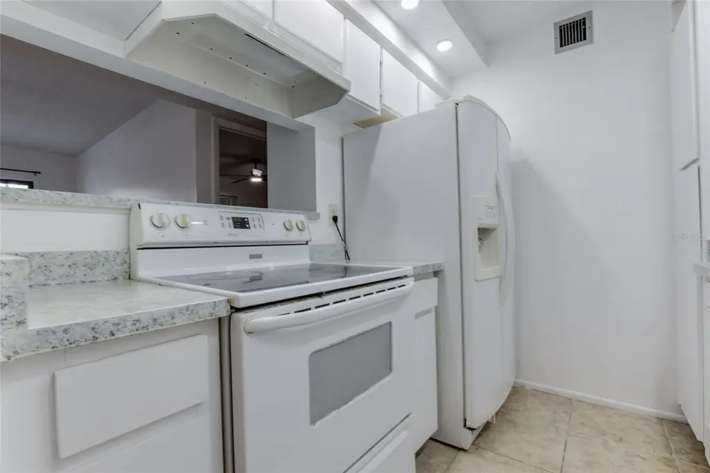 4411 Shady Terrace Lane Tampa FL 33613
