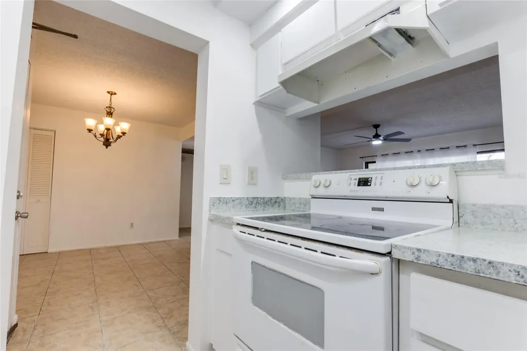 4411 Shady Terrace Lane Tampa FL 33613
