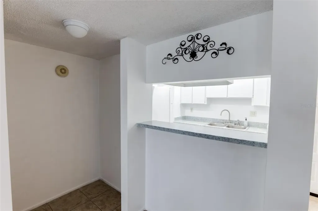 4411 Shady Terrace Lane Tampa FL 33613