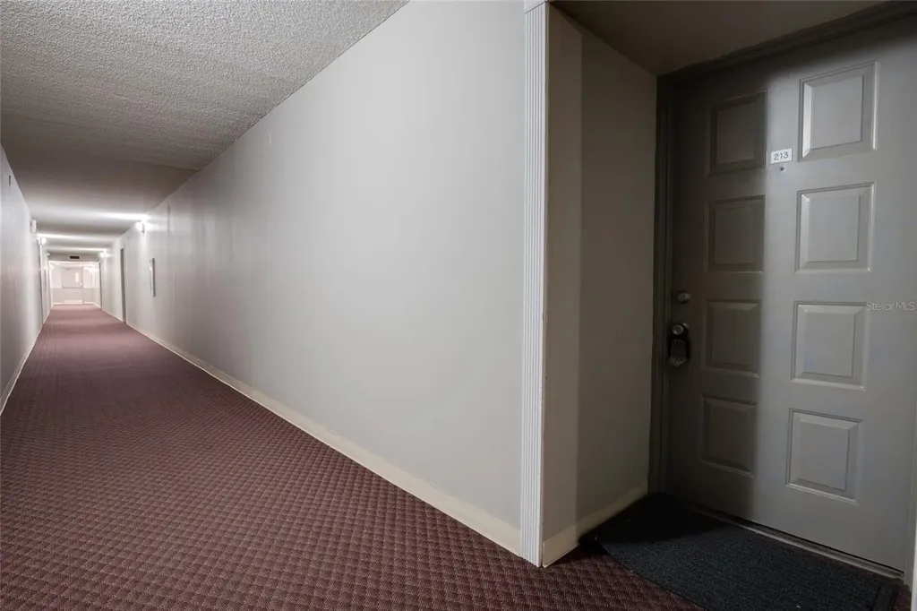 4411 Shady Terrace Lane Tampa FL 33613
