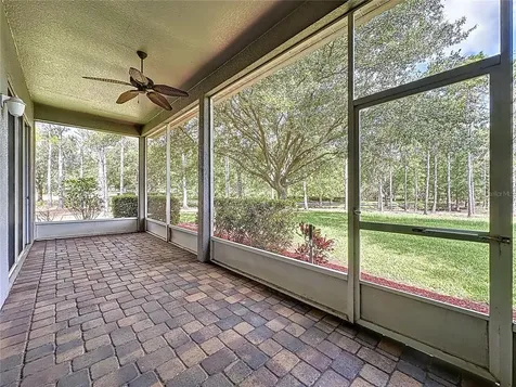 101 Flame Vine Way Groveland FL 34736