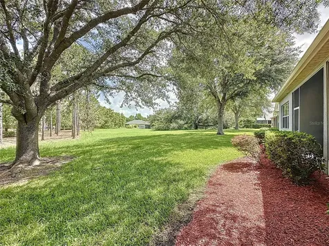 101 Flame Vine Way Groveland FL 34736