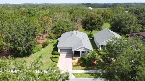 101 Flame Vine Way Groveland FL 34736