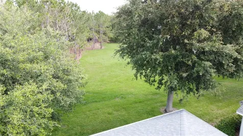 101 Flame Vine Way Groveland FL 34736