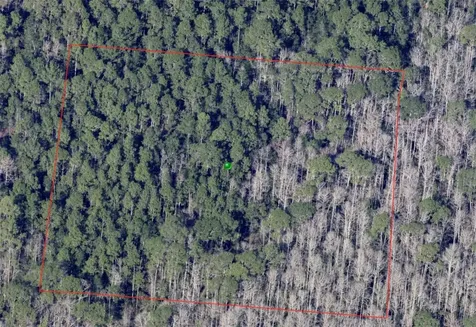 North Street De Leon Springs FL 32130