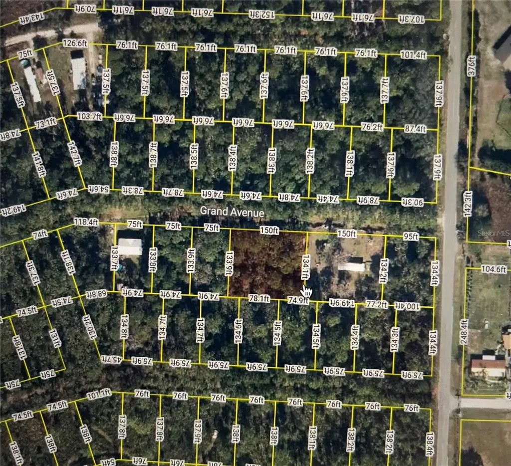107 Grand Avenue Crescent City FL 32112