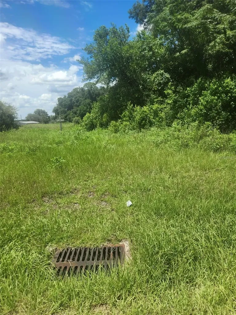 Corner SE 142nd Place & S Us Hwy-301 Summerfield FL 34491