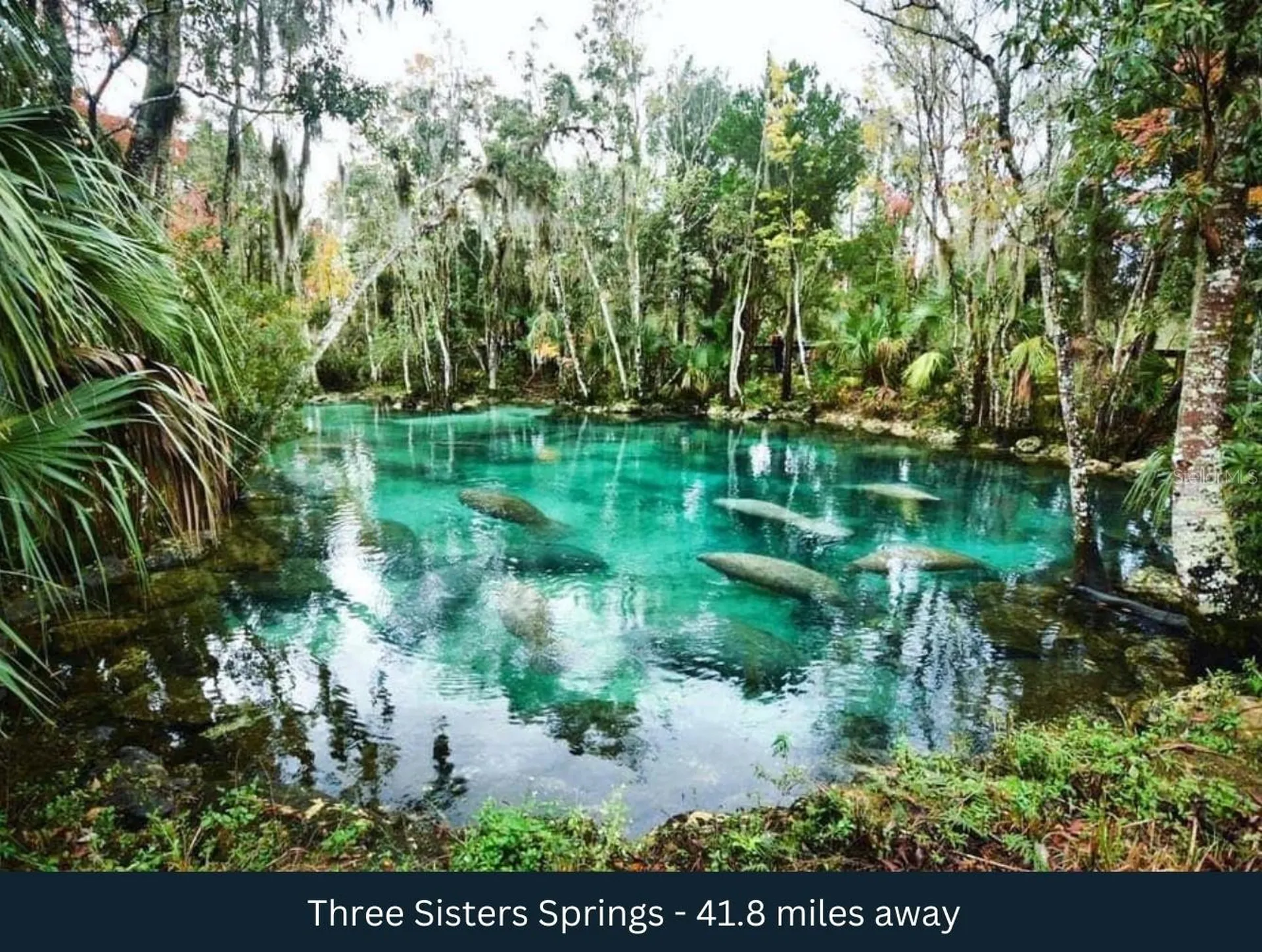 Corner SE 142nd Place & S Us Hwy-301 Summerfield FL 34491