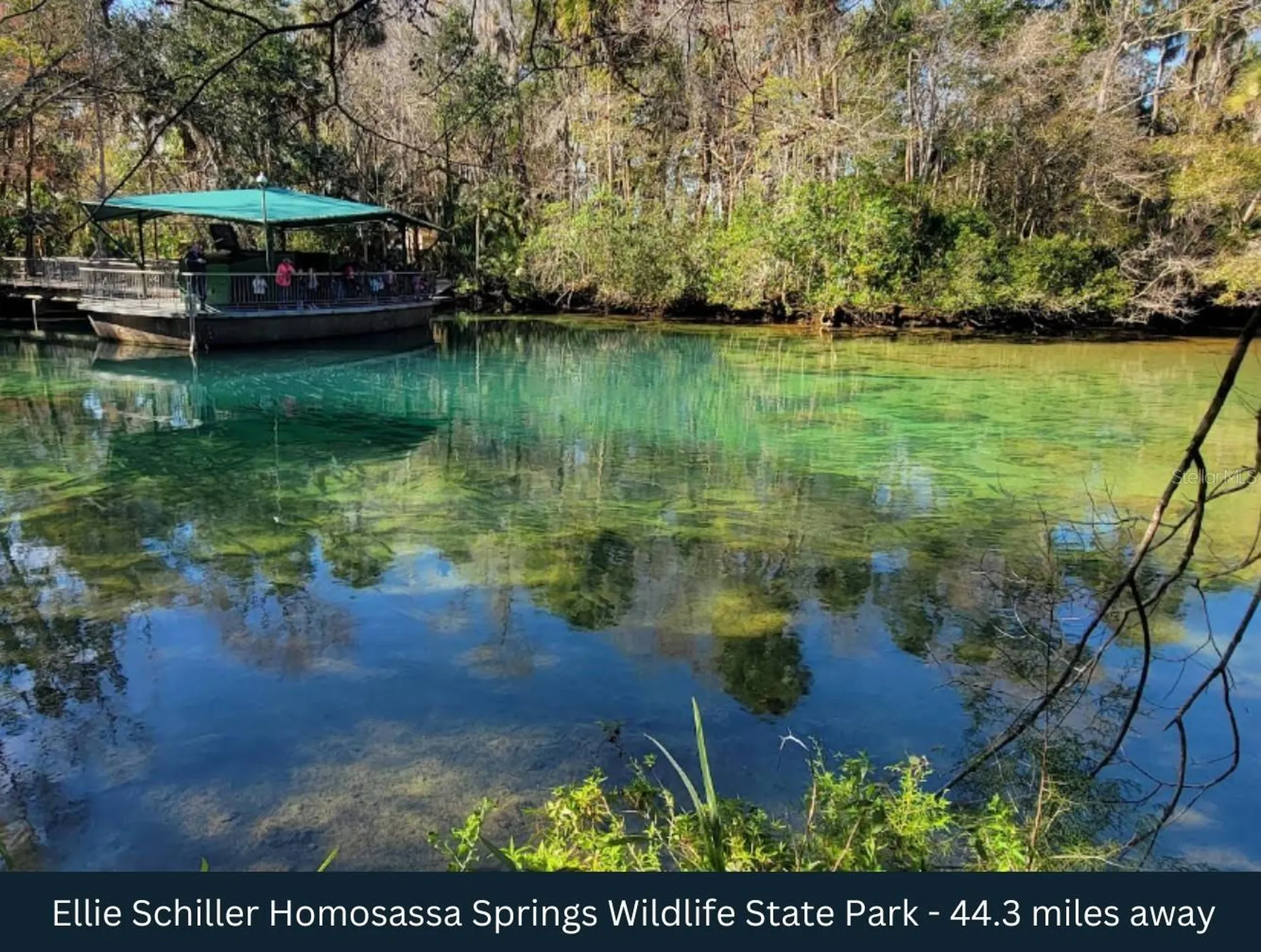 Corner SE 142nd Place & S Us Hwy-301 Summerfield FL 34491