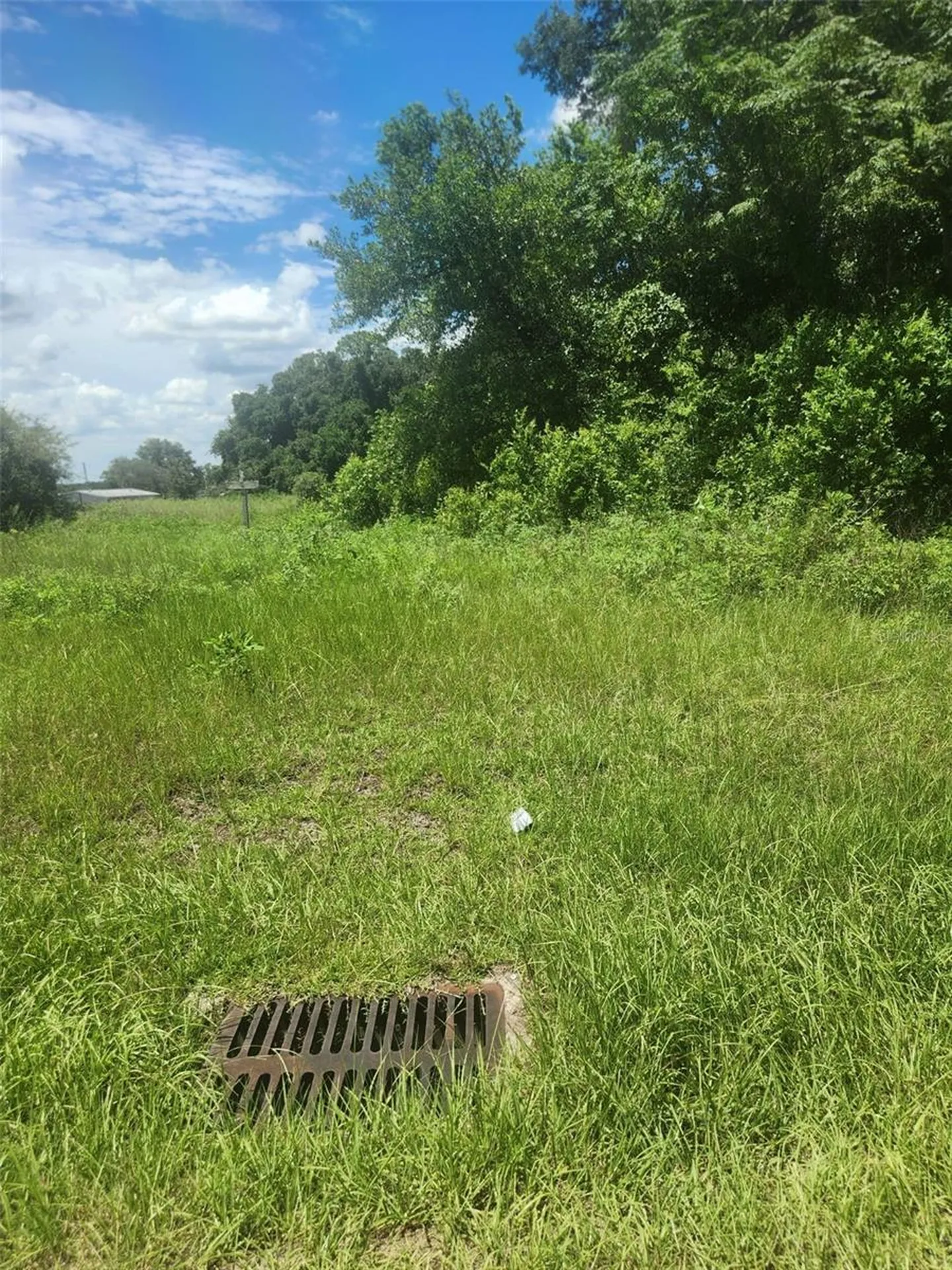 Corner SE 142nd Place & S Us Hwy-301 Summerfield FL 34491