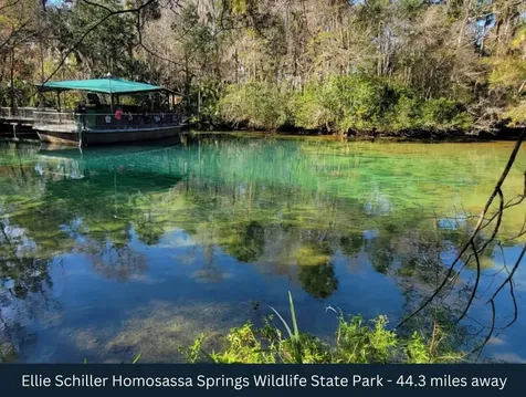 Corner SE 142nd Place & S Us Hwy-301 Summerfield FL 34491