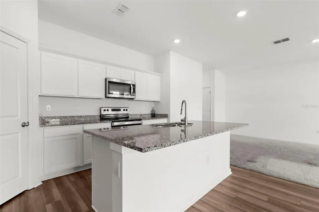1038 Kelly Fern Loop Ruskin FL 33570