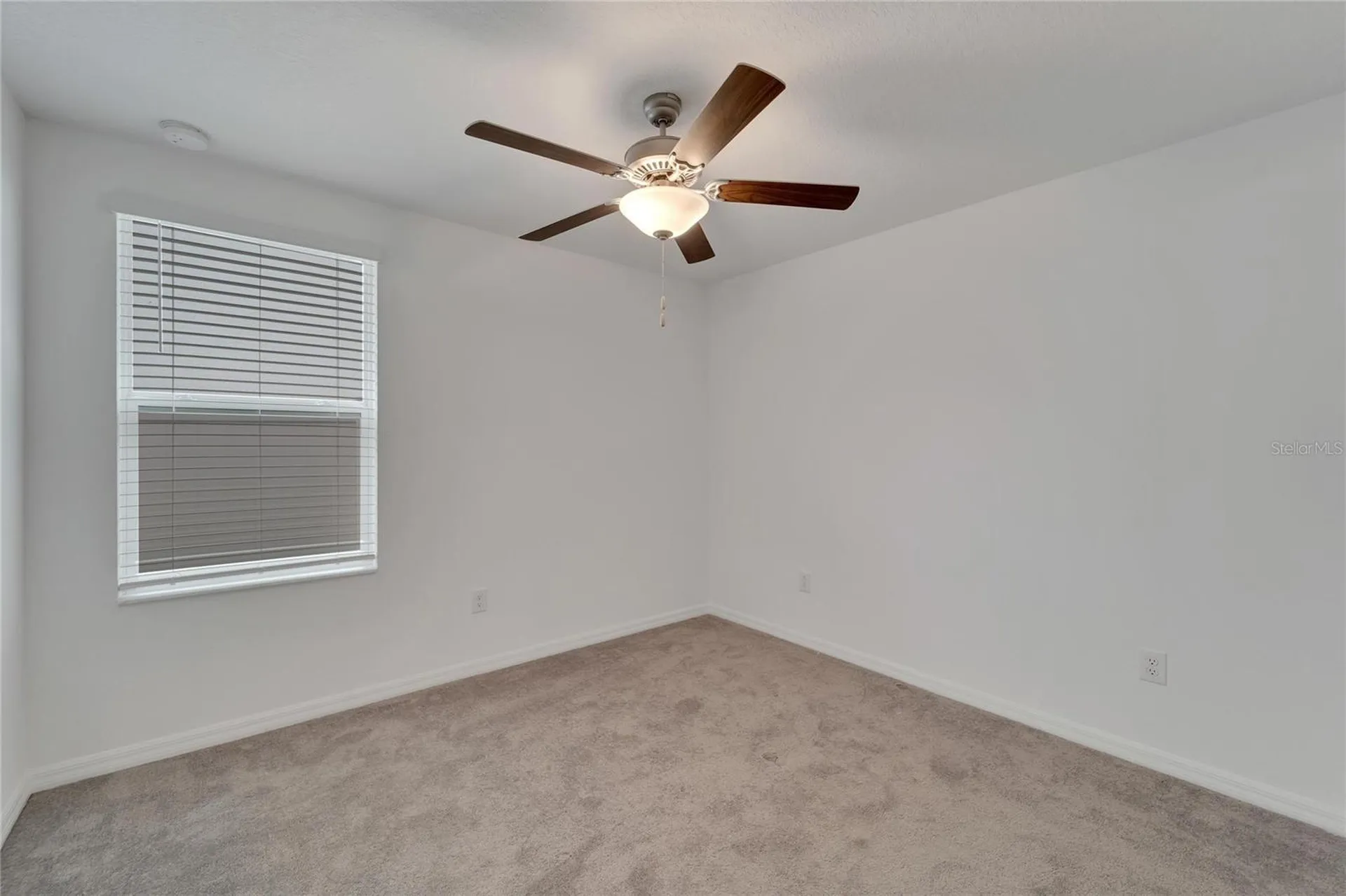 3186 Oyster Cove Street Wimauma FL 33598