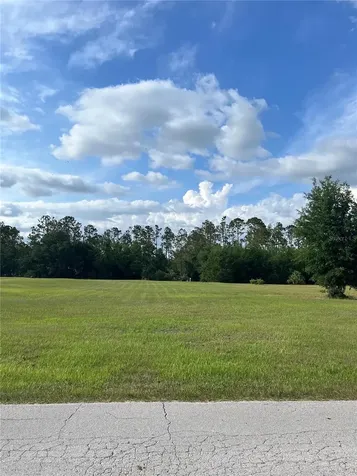 12940 Curley San Antonio FL 33576