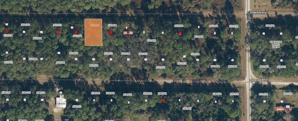423 Dogwood Avenue Georgetown FL 32139