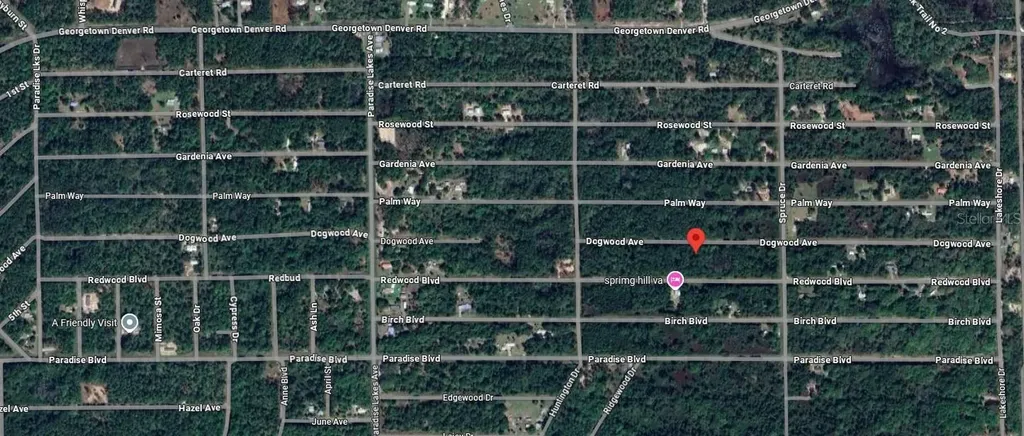 423 Dogwood Avenue Georgetown FL 32139