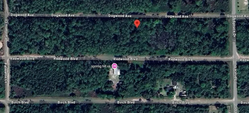 423 Dogwood Avenue Georgetown FL 32139