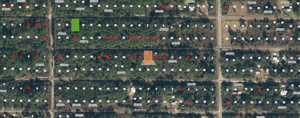 423 Dogwood Avenue Georgetown FL 32139