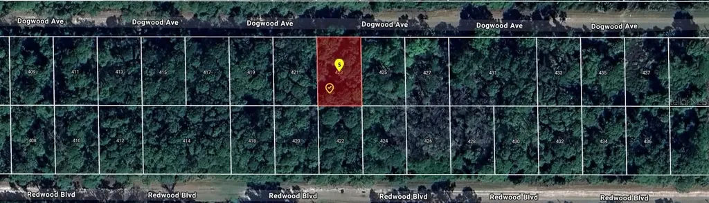 423 Dogwood Avenue Georgetown FL 32139
