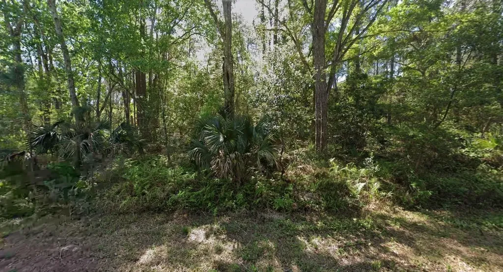 423 Dogwood Avenue Georgetown FL 32139