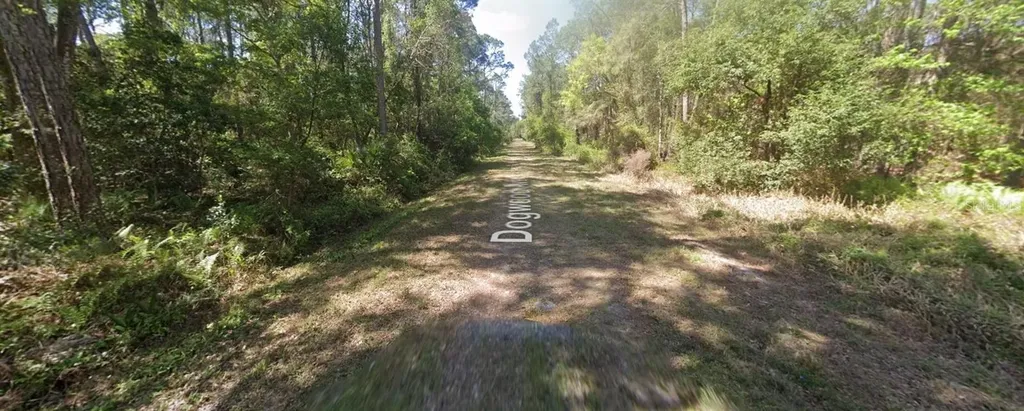 423 Dogwood Avenue Georgetown FL 32139