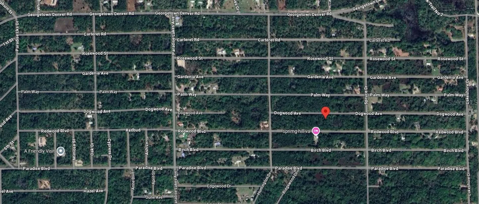 423 Dogwood Avenue Georgetown FL 32139