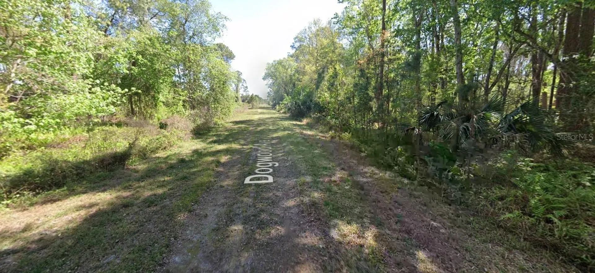 423 Dogwood Avenue Georgetown FL 32139