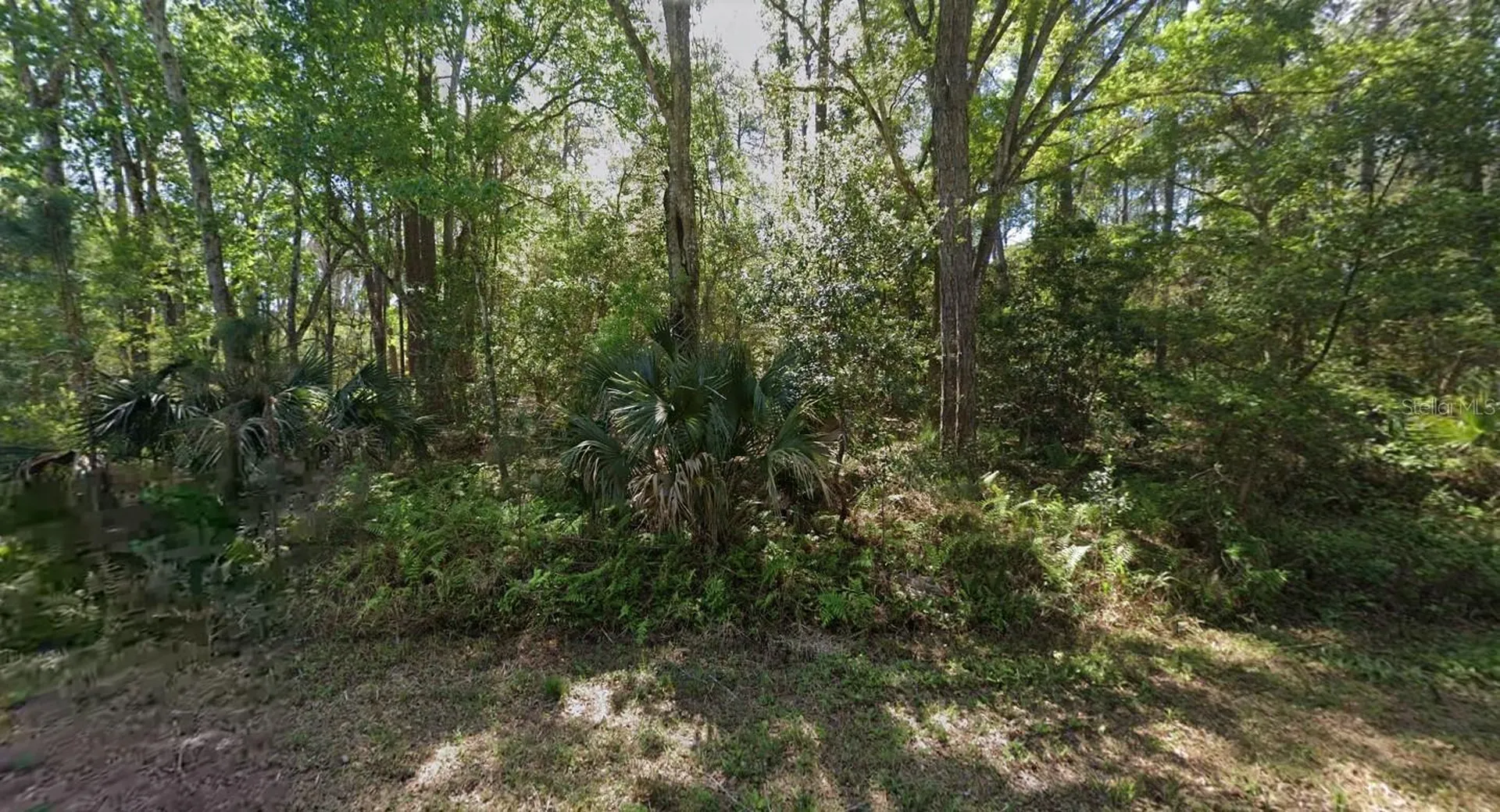 423 Dogwood Avenue Georgetown FL 32139