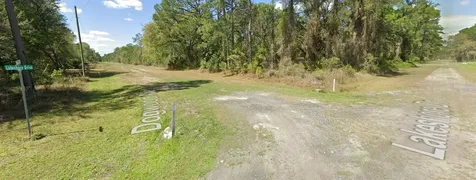 423 Dogwood Avenue Georgetown FL 32139