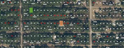 423 Dogwood Avenue Georgetown FL 32139