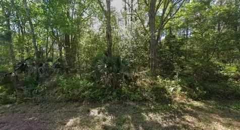 423 Dogwood Avenue Georgetown FL 32139
