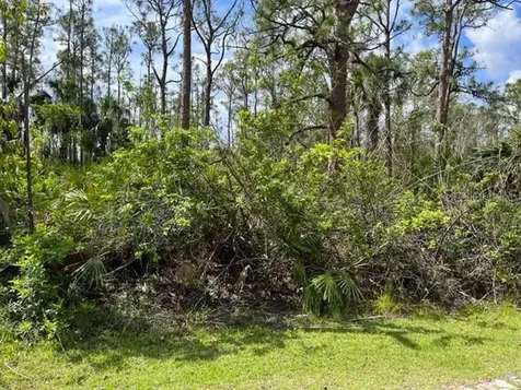28249 N Twin Lakes Drive Punta Gorda FL 33955
