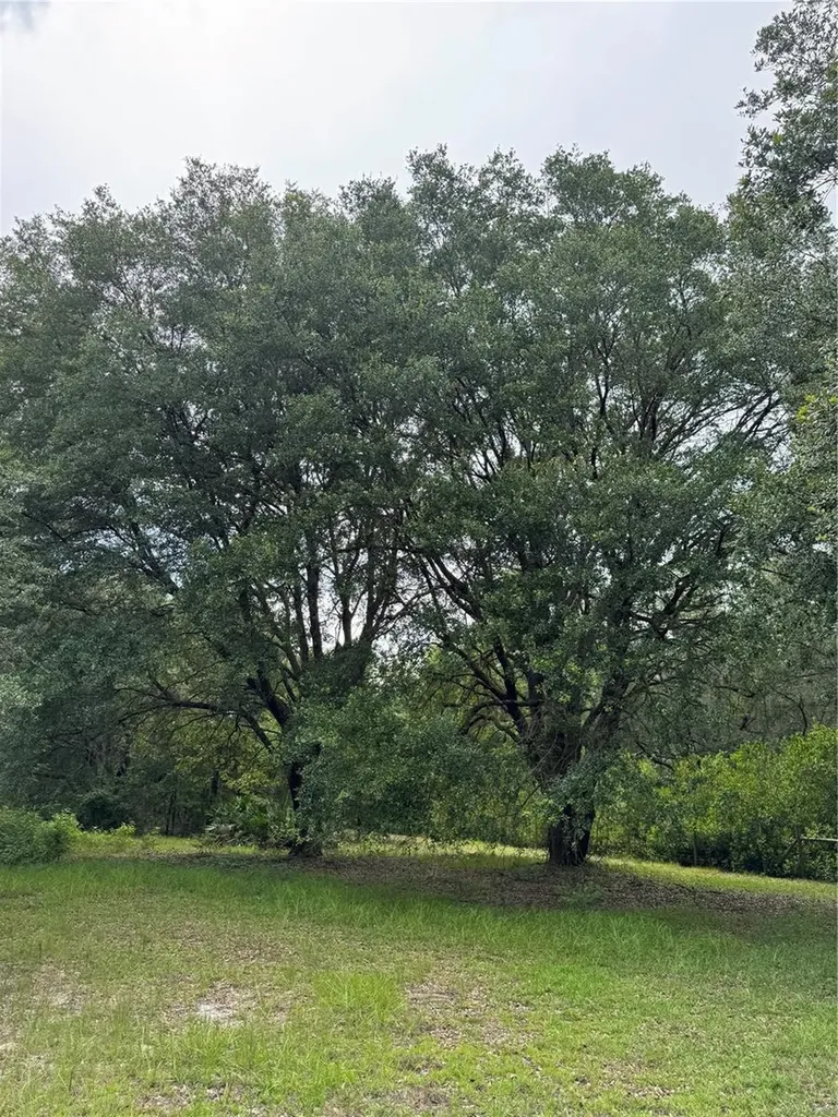 Tbd NW 67th Boulevard Alachua FL 32615