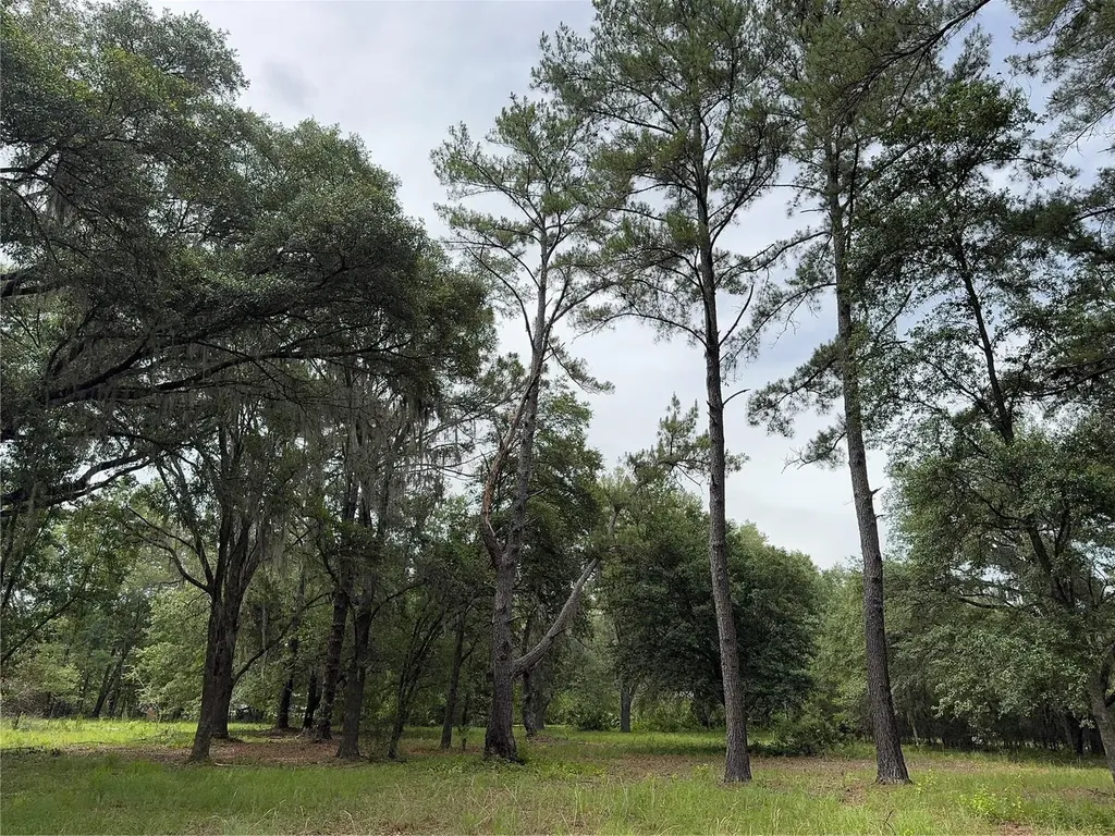 Tbd NW 67th Boulevard Alachua FL 32615