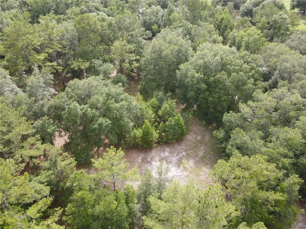 Tbd NW 67th Boulevard Alachua FL 32615