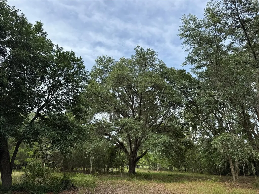 Tbd NW 67th Boulevard Alachua FL 32615