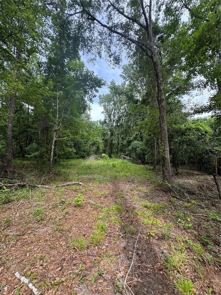 Tbd NW 67th Boulevard Alachua FL 32615