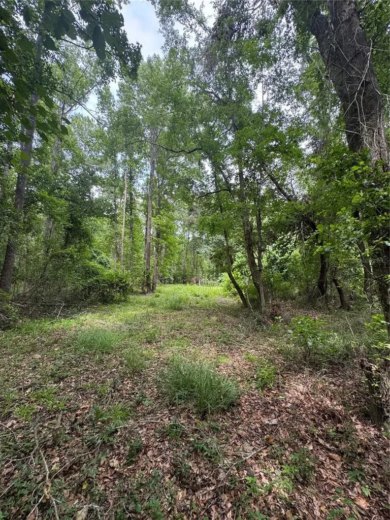Tbd NW 67th Boulevard Alachua FL 32615