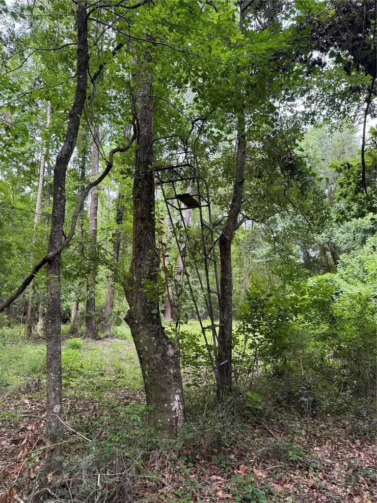 Tbd NW 67th Boulevard Alachua FL 32615
