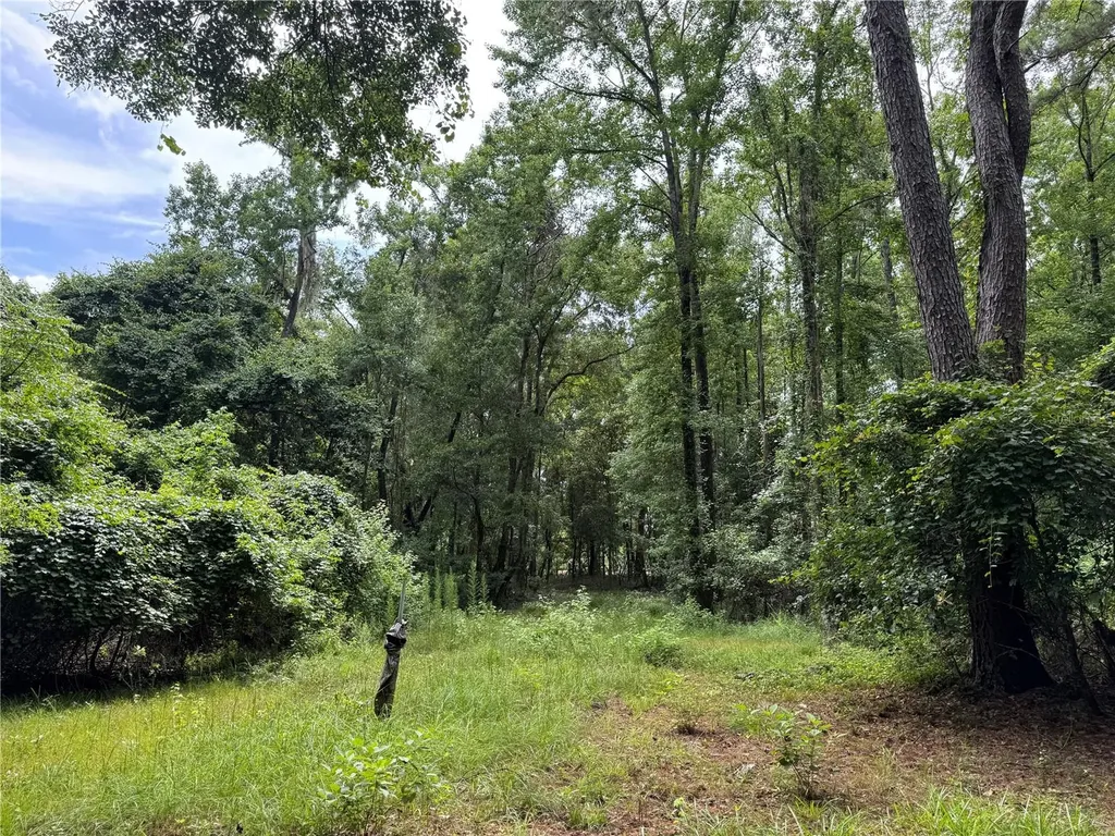 Tbd NW 67th Boulevard Alachua FL 32615
