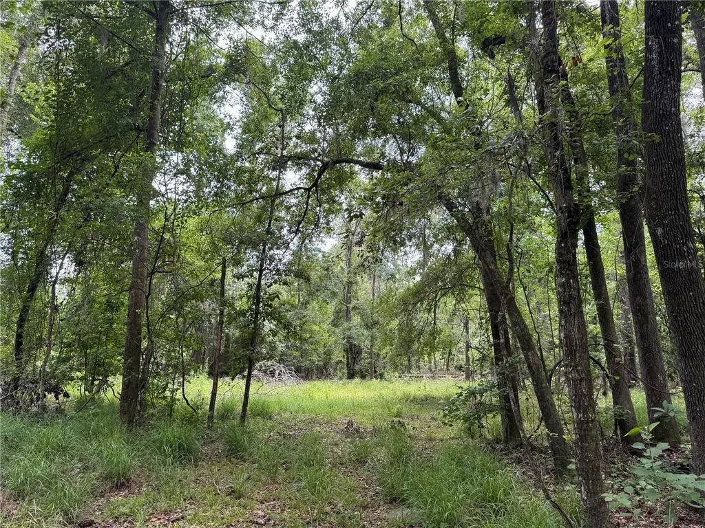Tbd NW 67th Boulevard Alachua FL 32615