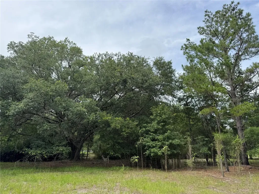 Tbd NW 67th Boulevard Alachua FL 32615