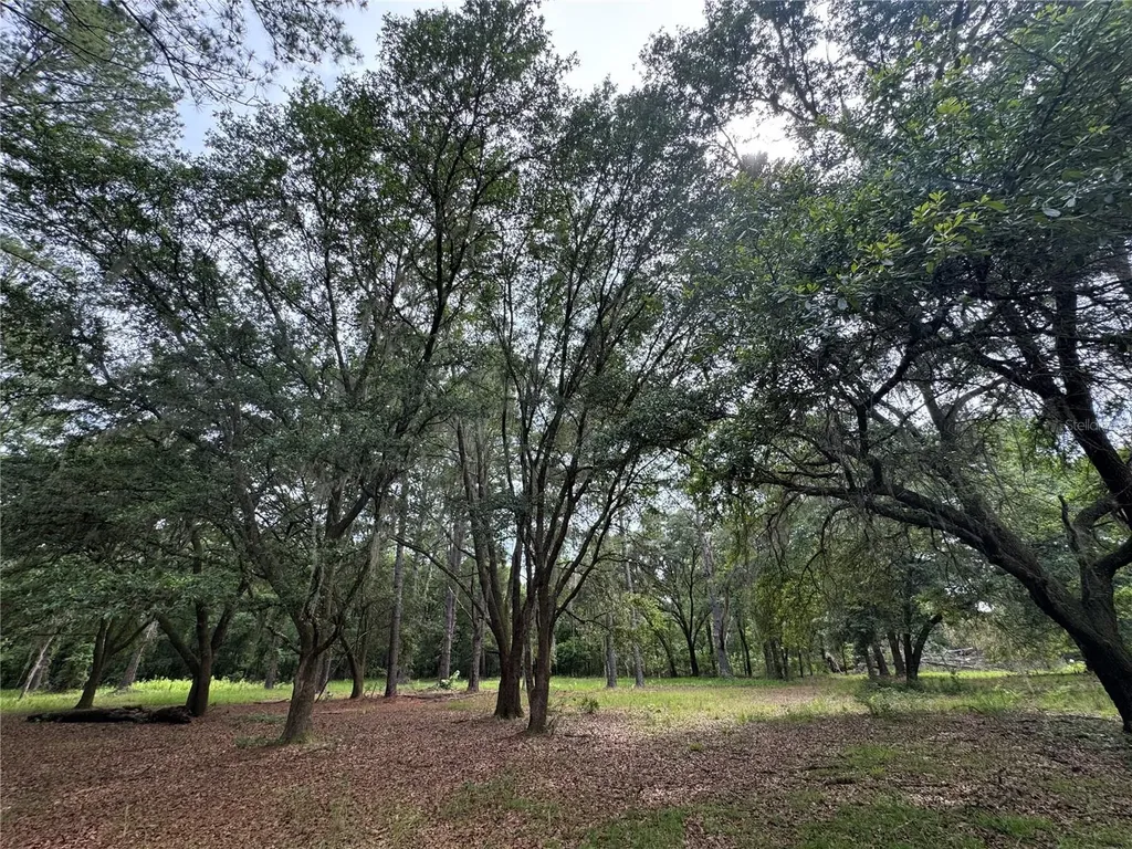 Tbd NW 67th Boulevard Alachua FL 32615