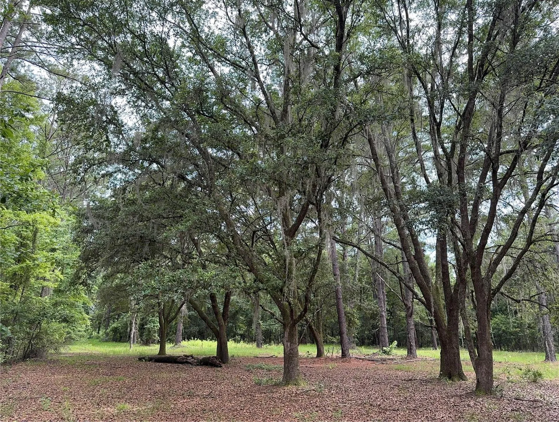 Tbd NW 67th Boulevard Alachua FL 32615