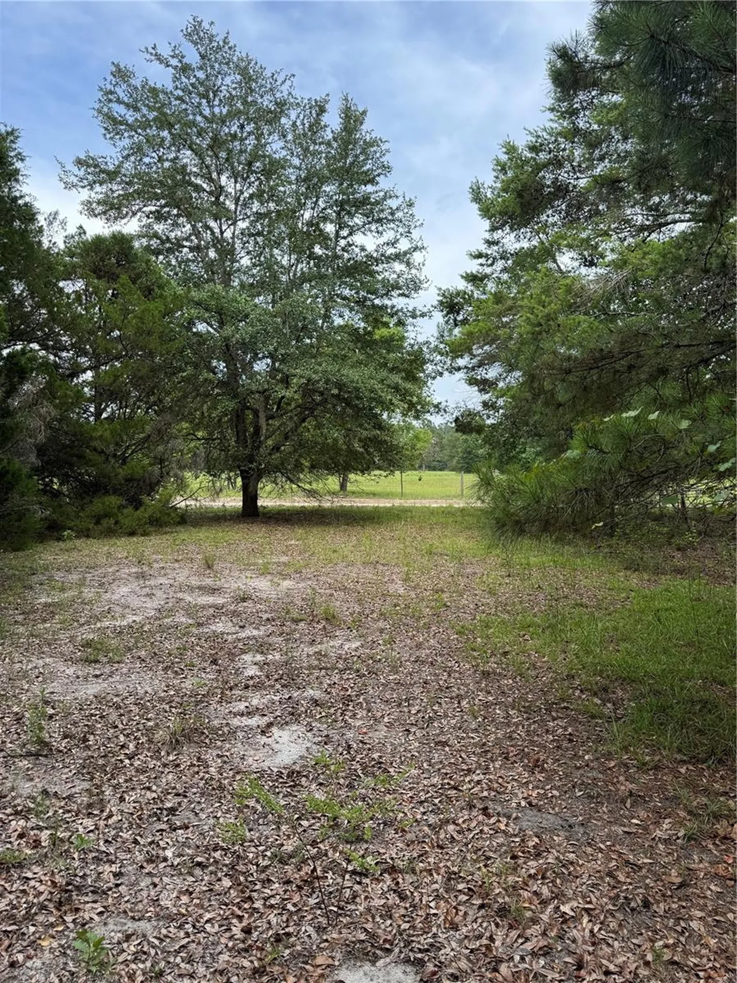 Tbd NW 67th Boulevard Alachua FL 32615