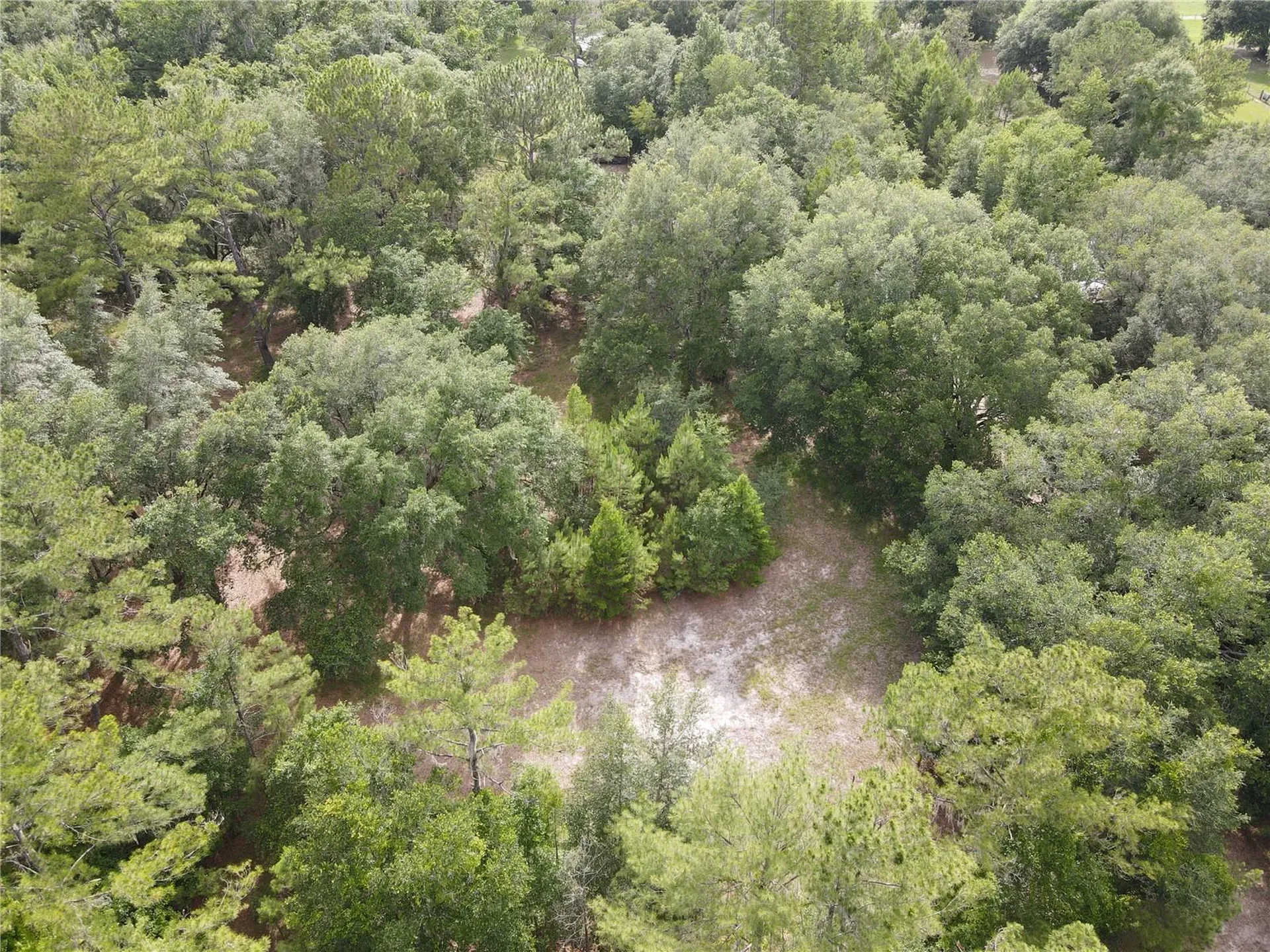 Tbd NW 67th Boulevard Alachua FL 32615
