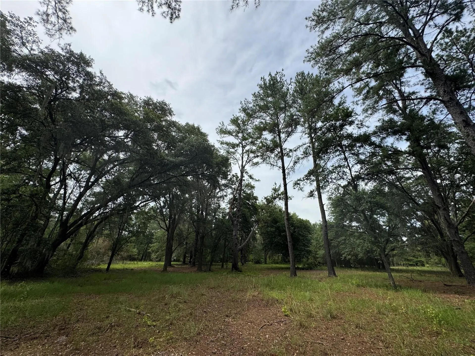 Tbd NW 67th Boulevard Alachua FL 32615