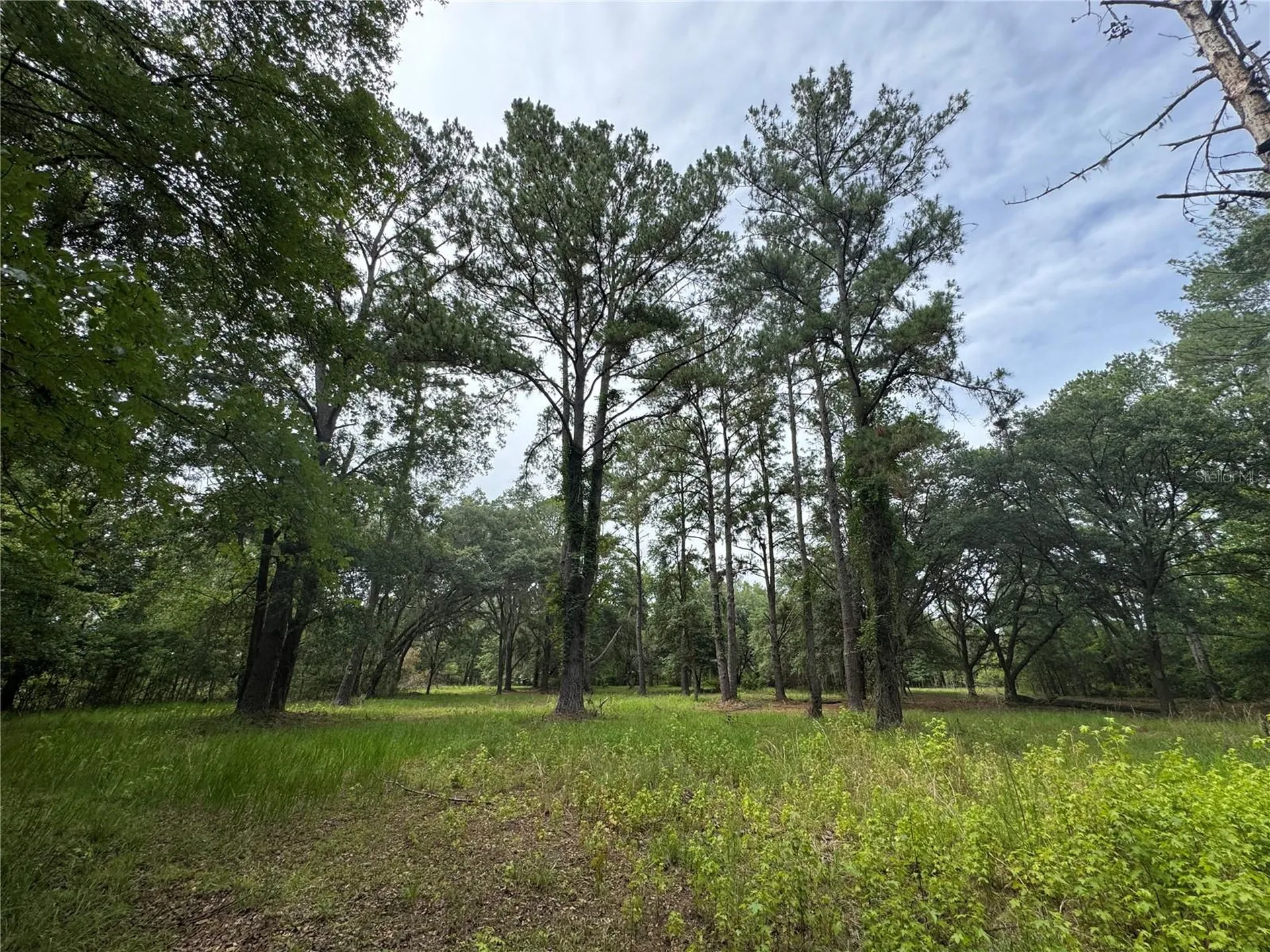 Tbd NW 67th Boulevard Alachua FL 32615