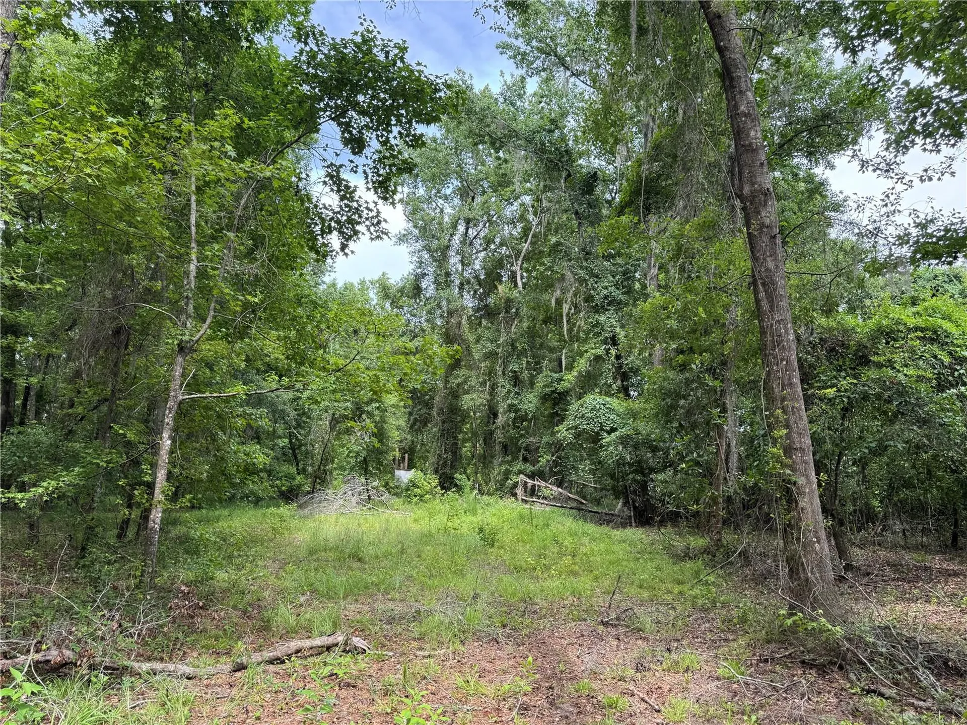 Tbd NW 67th Boulevard Alachua FL 32615
