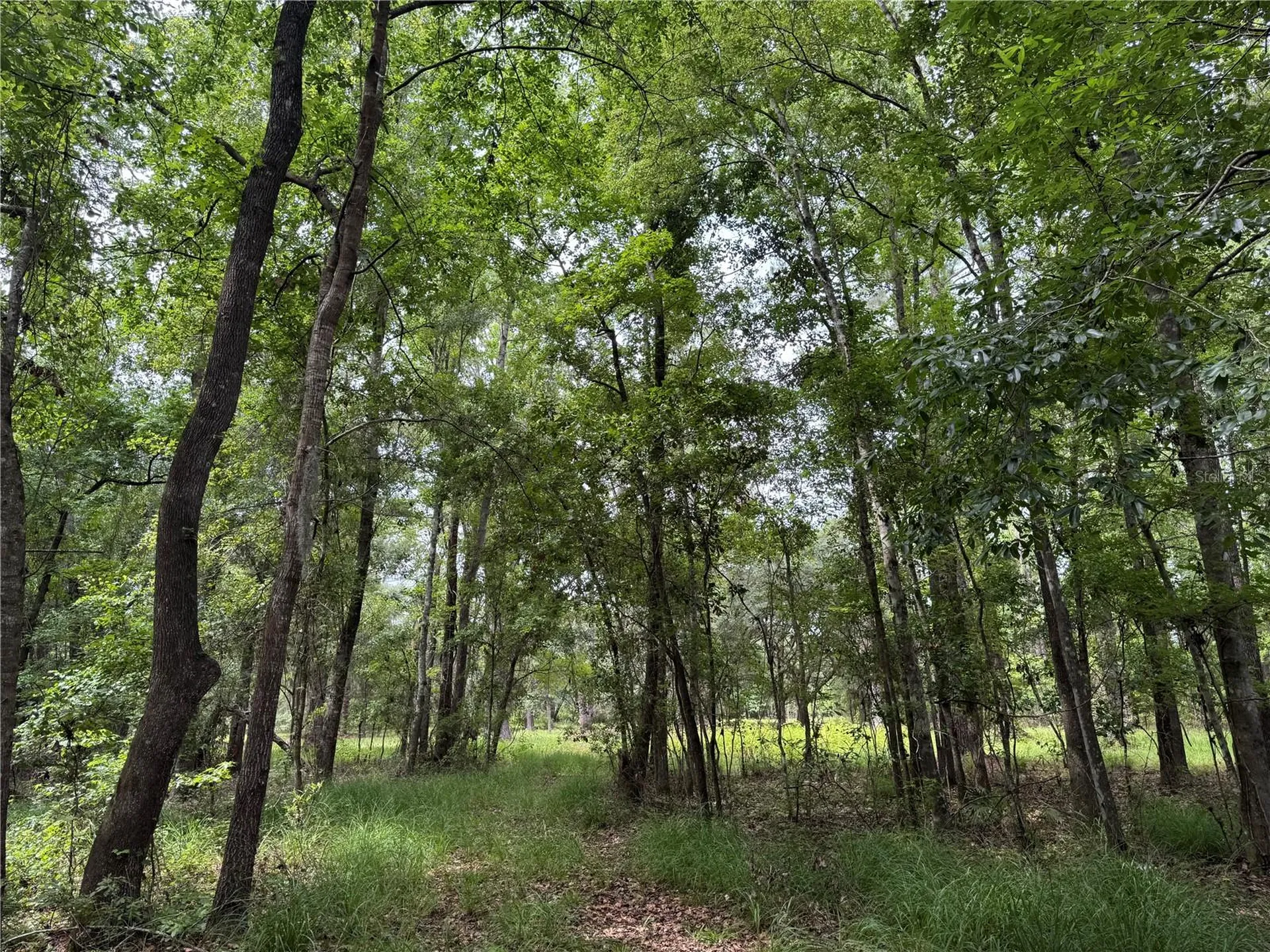 Tbd NW 67th Boulevard Alachua FL 32615